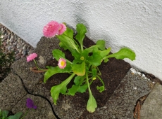 received_169734999356748