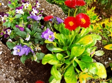 received_945270786615980