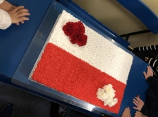 nasza_niepodlegla_008