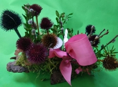 23received_231390272771325