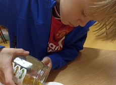 23436549509_416262287845107_5996910975408426674_n