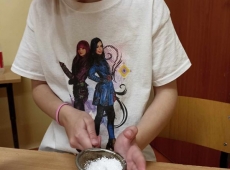 23436571019_461203399722302_5016270832671027932_n