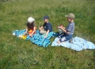 piknik-na-trawie-czerwiec-2008-9