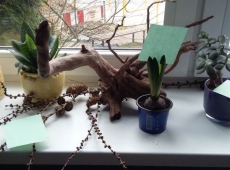 przyroda_z_klasa_001