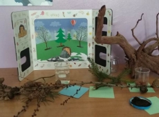 przyroda_z_klasa_002