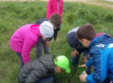 przyroda_z_klasa_012