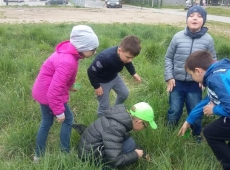 przyroda_z_klasa_013