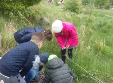 przyroda_z_klasa_015