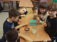 przyroda_z_klasa_029