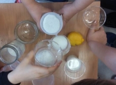 przyroda_z_klasa_031