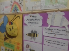 pszczolka_flora_022