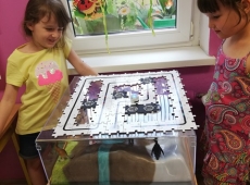 62449178_2366650833579922_6452677282606612480_n-002