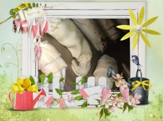 loonapix_15217994991579085570-008