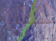 241474875_566306574637280_4246754872109906837_n-002