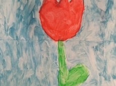 241750096_591117741923082_8492172761859626570_n-006