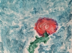 241884179_559176525501933_5991344113979884590_n-013