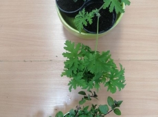 23img_20230426_153435