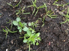 23img_20230427_142016