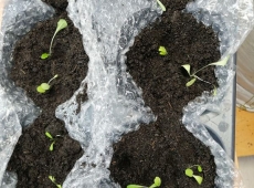 23img_20230427_144329