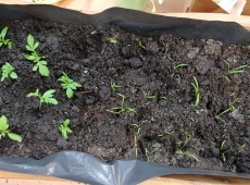 23img_20230427_151711