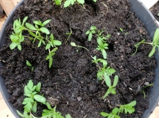 23img_20230427_151715