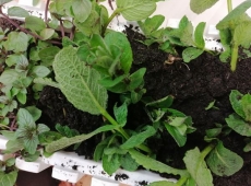 23img_20230427_151723