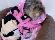 sailing_show_2020_097