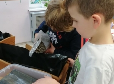 23img_20230320_144417