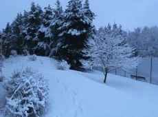 stojedynka_na_sportowo_002