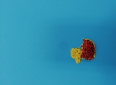 23img_20230417_162751