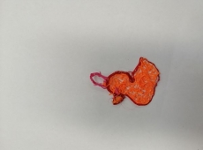 23img_20230417_162848