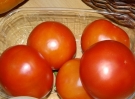 swietlicowy-dzien-pomidora-2011-17