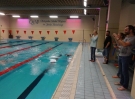swimming_show_2016_010