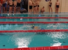 swimming_show_2016_021