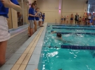 swimming_show_2016_040