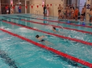 swimming_show_2016_059