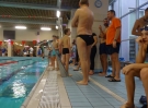 swimming_show_2016_061