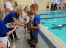 swimming_show_2016_077