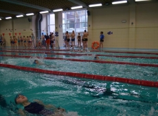 swimming_show_2018_011