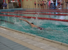 swimming_show_2018_022