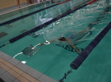 swimming_show_2018_027