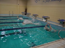 swimming_show_2018_035