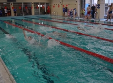 swimming_show_2018_036