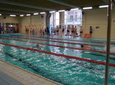 swimming_show_2018_047