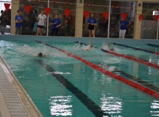 swimming_show_2018_050