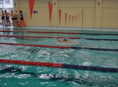 swimming_show_2018_055