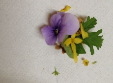 23img_20230505_143307