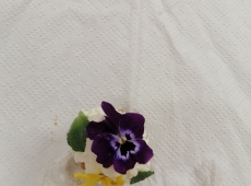 23img_20230505_143315