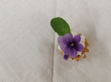 23img_20230505_143320