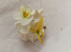 23img_20230505_143329